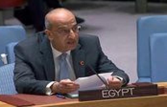 مندوب مصر لدى الأمم المتحدة يطالب مجلس الأمن بردع إسرائيل
