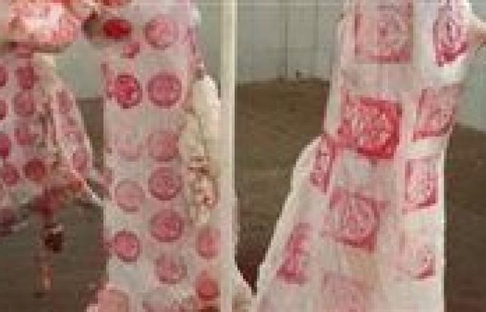 نقيب الفلاحين: السعر العادل لأجود أنواع اللحوم البلدي لا يتجاوز 350 جنيها