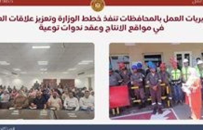 "انفوجراف"..حصاد وزارة العمل خلال أسبوع ...