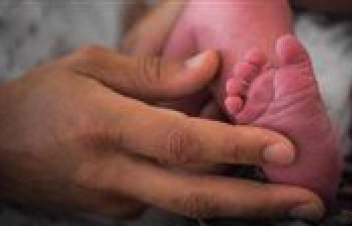 العثور على جثة رضيع داخل صندوق قمامة بجوار مستشفى قنا العام