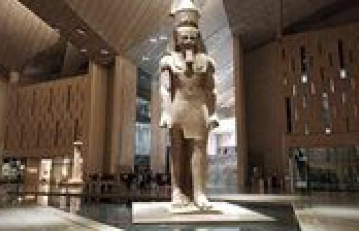 متحدث الوزراء: الدولة على تقديم تجربة سياحية متكاملة تليق بمكانة مصر الحضارية