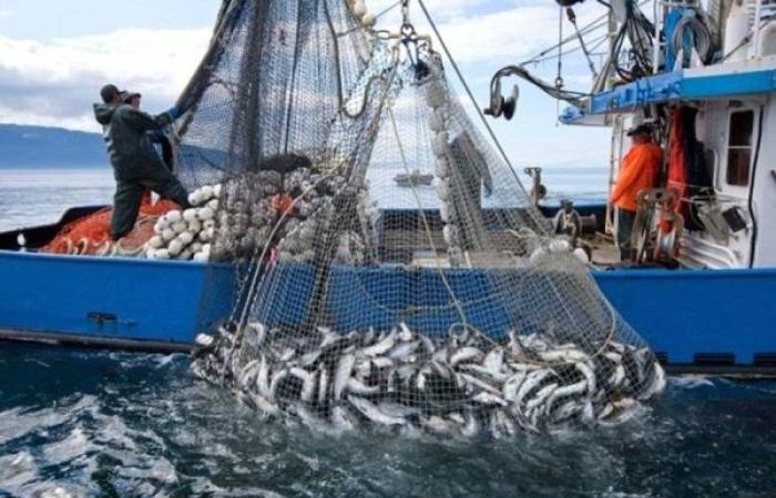 في خطوة استراتيجية نوعية للقطاع البحري الوطني.. اعتراف أمريكي رسمي بالمصايد المغربية