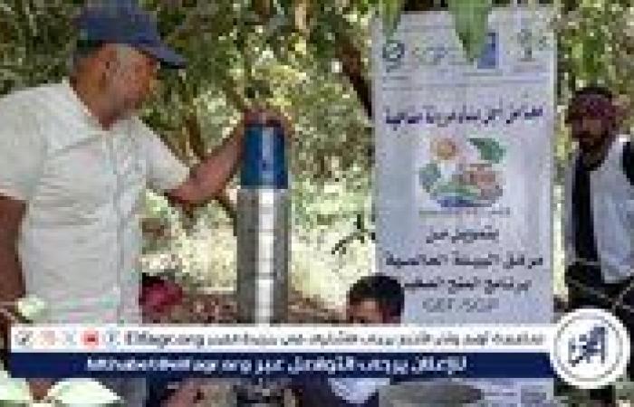 بدء تنفيذ مشروع "القرية الخضراء" بالأقصر.. نموذج لبناء مرونة مناخية في الريف المصري