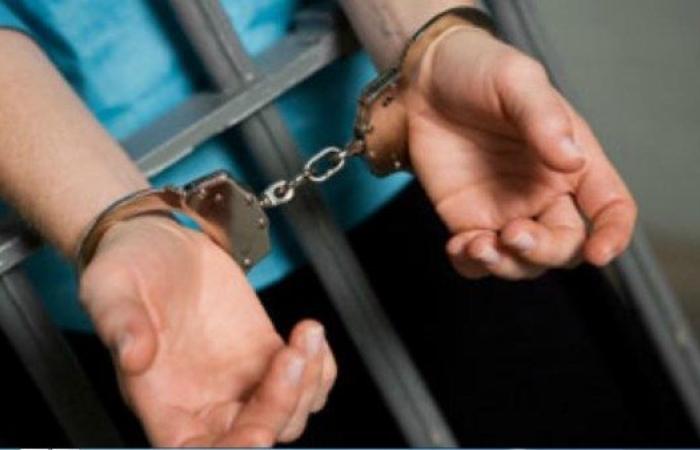 الحبس عامين وغرامة 100 ألف جنيه للمتهمة بالتشهير بفنانة على السوشيال ميديا