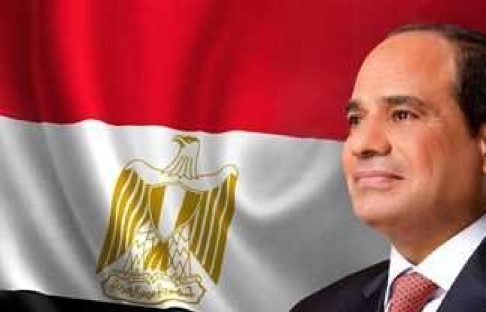 الرئيس السيسى يؤكد على ضرورة الاستمرار فى العمل بنظام سعر صرف مرن