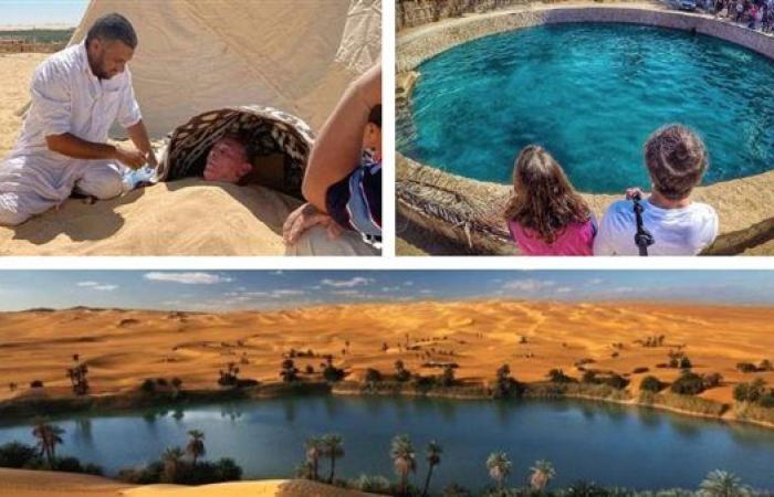 كنز دولارات جديد.. الحكومة بتجهز لمفاجأة في قطاع سياحي مهم