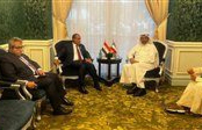 وزير الخارجية يبحث مع نظيره الكويتي تعزيز التعاون الاقتصادي والاستثماري