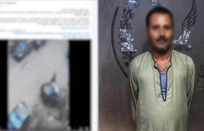 كشف ملابسات فيديو تضمن قيام أحد الأشخاص بالتعدى على ”كلب ضال” بإستخدام عصا شومة بالقاهرة