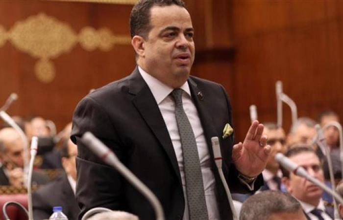 برلماني: كلمة الرئيس أكدت وحدة الصف ودور مصر في حماية الأمن  العربي