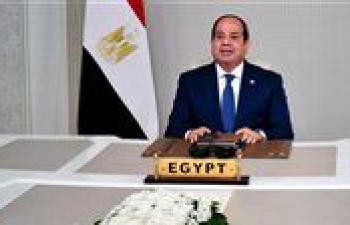 الرئيس السيسي يوافق على تعديل إتفاقية للبحث عن البترول بالصحراء الغربية