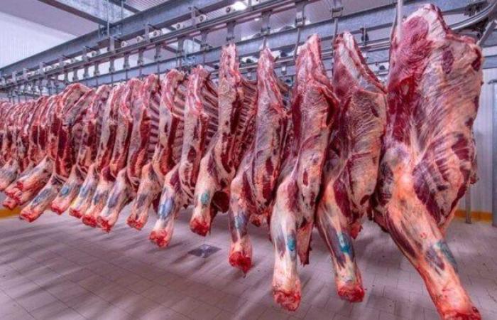 الكندوز بكام؟.. أسعار اللحوم اليوم الاثنين 15 سبتمبر 2025