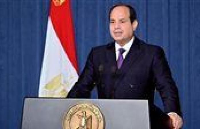 السيسي وتميم يؤكدان ضرروة تشكيل جبهة موحدة لحماية الأمن القومي العربي