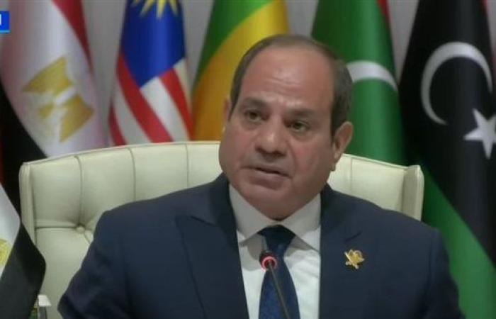 السيسي: آن الأوان، للتعامل بجدية وحسم مع القضية الفلسطينية (شاهد)
