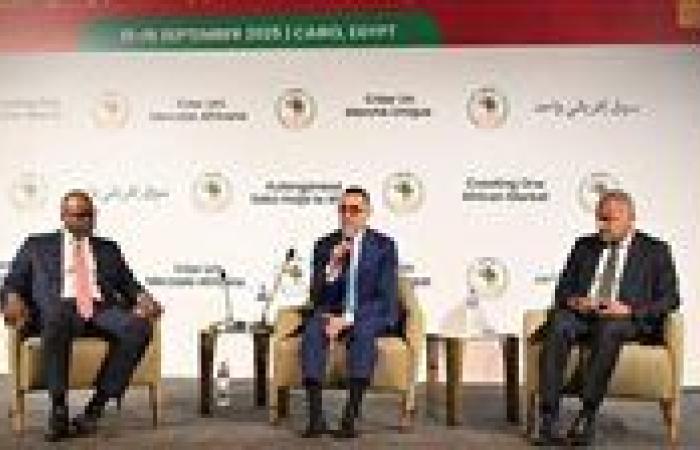 وزير الاستثمار: ضرورة الانتهاء من قواعد المنشأ ضمن اتفاقية التجارة الحرة الإفريقية