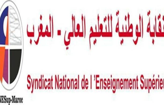 اللجنة الإدارية لنقابة التعليم العالي تقرر رفض مشروع قانون التعليم العالي