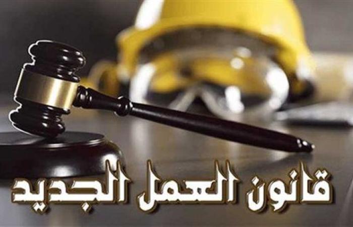 وزير العمل: القانون الجديد يضع حدًا للفصل ...