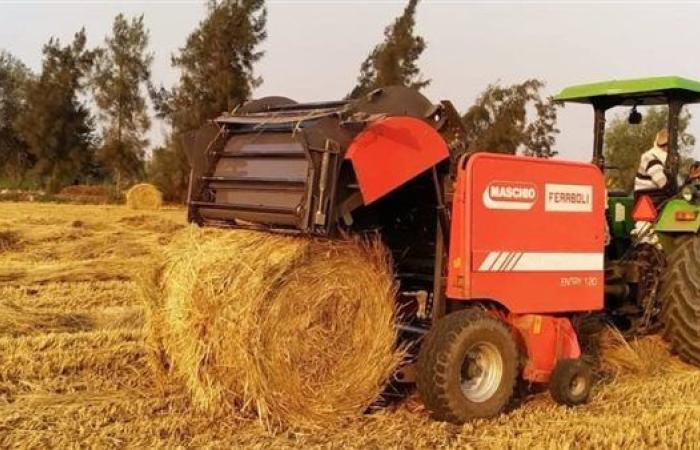 للقضاء على ظاهرة السحابة السوداء.. تجميع 12780 طن قش أرز منذ بداية الحصاد