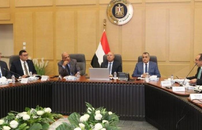 المجلس الأعلى للطاقة يوافق على توفير الطاقة اللازمة لمشروعات صناعية استراتيجية