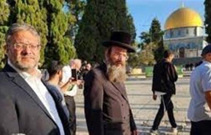 أكثر من 80 منظمة غير حكومية تطلق حملة لمطالبة دول أوروبا بحظر التجارة مع المستوطنات الإسرائيلية