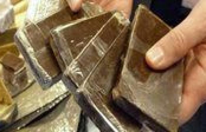 ضبط ربع طن حشيش داخل فيلا بالإسماعيلية.. سقوط تشكيل عصابي خطير