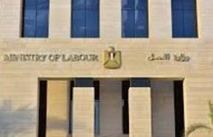 3701 فُرصة عمل جديدة في 44 شركة خاصة تنتظر شباب 11 محافظة