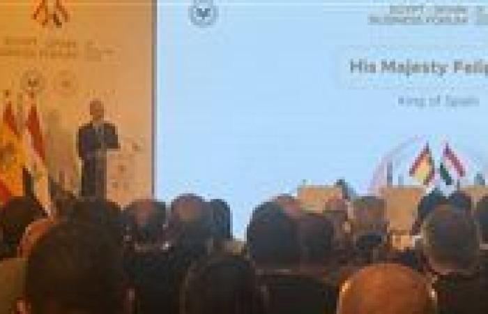 ملك إسبانيا: يوجد 60 شركة إسبانية في مصر تساهم في تطوير علاقات البلدين