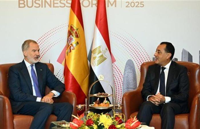 3.1 مليار دولار حجم التبادل التجاري بين مصر وإسبانيا.. و900 مليون استثمارات مباشرة