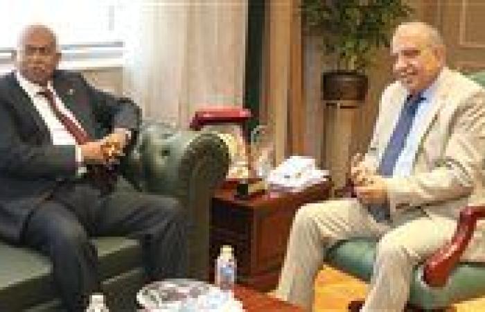 مصر والسودان تبحثان تنفيذ المرحلة الثانية من خط الربط الكهربائي