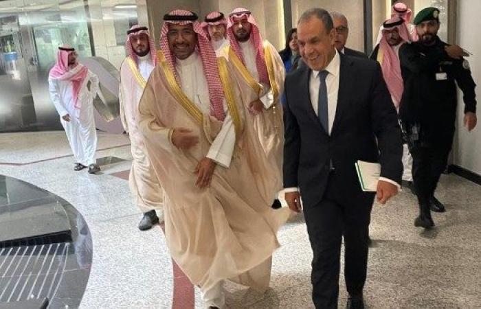 وزير الخارجية يبحث تعزيز التعاون الصناعي والاستثماري مع السعودية