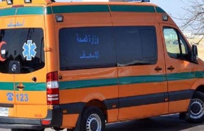 مصرع طفل دهسًا أثناء عبوره الطريق بوادي النطرون بالبحيرة