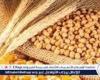 وزير الزراعة يكشف خطة تحقيق الاكتفاء الذاتي من القمح وتعزيز الصادرات لإفريقيا