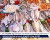 أسعار السمك البلطي والبوري اليوم السبت 23-8-2025 في محافظة قنا