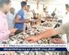 أسعار السمك اليوم السبت 23-8-2025 في محافظة قنا