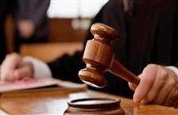 عاجل.. تأجيل محاكمة عنصر إرهابي بـ "خلية الذئاب المنفردة" لسماع الشهود