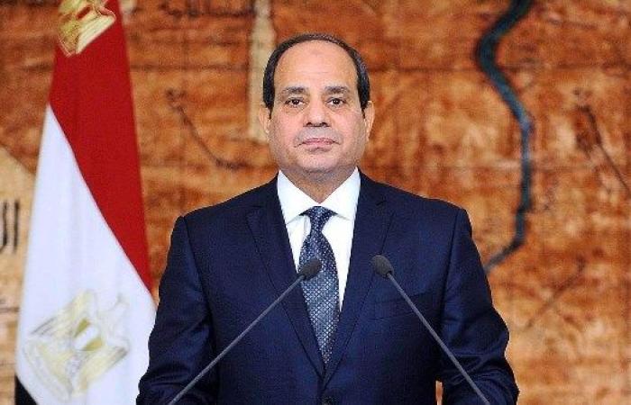 الرئيس السيسى يوجه بدراسة رفع كفاءة محطة "الزهراء" لتعظيم إرث الخيول العربية الأصيلة
