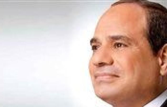 الرئيس السيسى يفتتح المرحلة الثانية لشركة السويس للصلب
