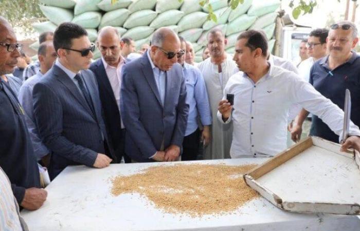 «ذهب المنيا».. المحافظ يتابع حصاد الخير ويؤكد: 120 ألف طن قمح حتى الآن