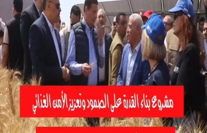 تعرف على مشروع بناء القدرة على الصمود وتعزيز الأمن الغذائي للأسر الريفية الضعيفة في مصر