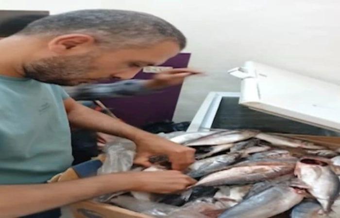 ضبط 14 طن لحوم ودواجن فاسدة في حملات بالمنوفية