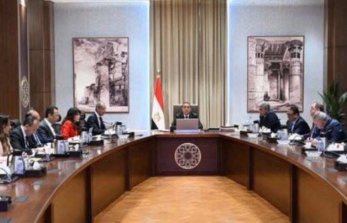 لتسهيل دخول السائحين عبر المطارات المصرية.. مدبولي يستعرض خطة تطوير المنظومة الإلكترونية