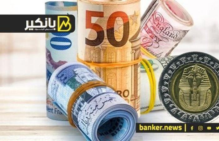 أسعار العملات الأجنبية أمام الجنيه اليوم الثلاثاء 6-5-2025 في البنك المركزي المصري
