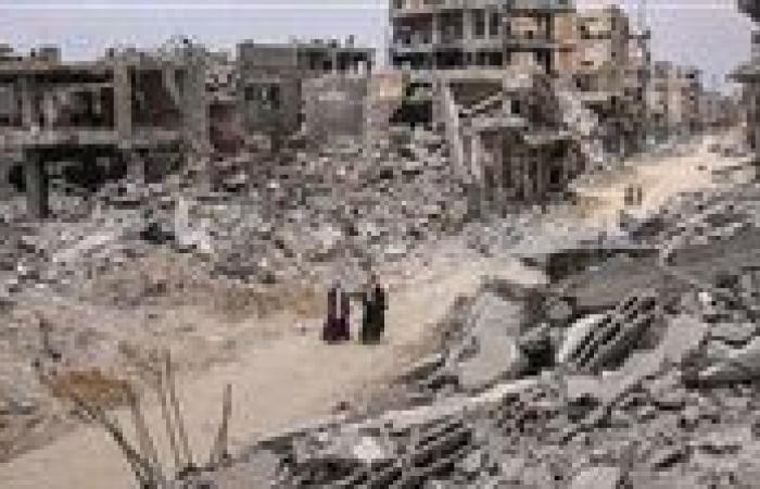 رويترز عن مسئول فلسطيني: حماس تجري محادثات مع واشنطن بشأن هدنة بغزة