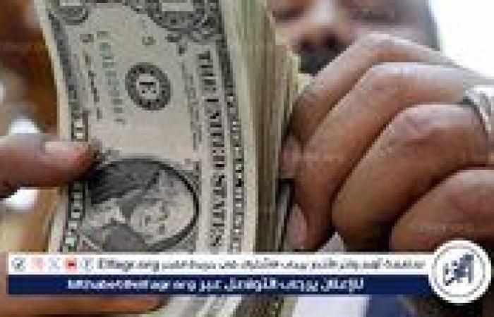 الدولار يواصل الاستقرار أمام الجنيه المصري في بداية تعاملات الثلاثاء 13 مايو 2025