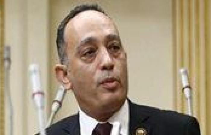 برلماني: تحويل القصور لـ حضانات تفريغًا للثقافة من مضمونها