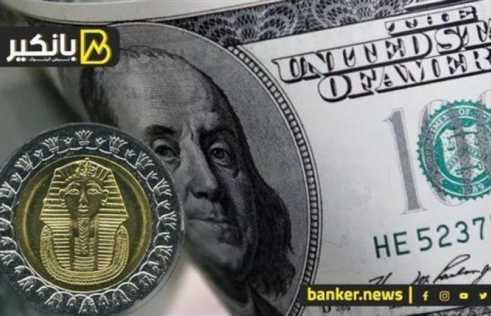 الجنيه يهزم الدولار في أسبوع الأخبار السعيدة.. إيه اللي بيحصل فى سوق صرف العملات الأجنبية