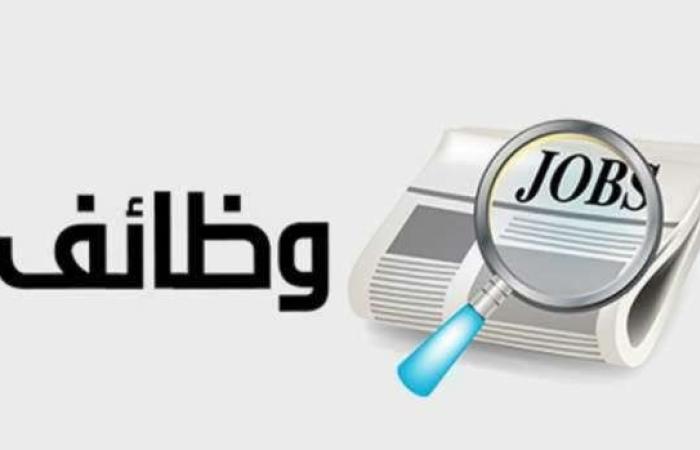 وظائف الشباب والرياضة 2025.. التخصصات المطلوبة وموعد التقديم