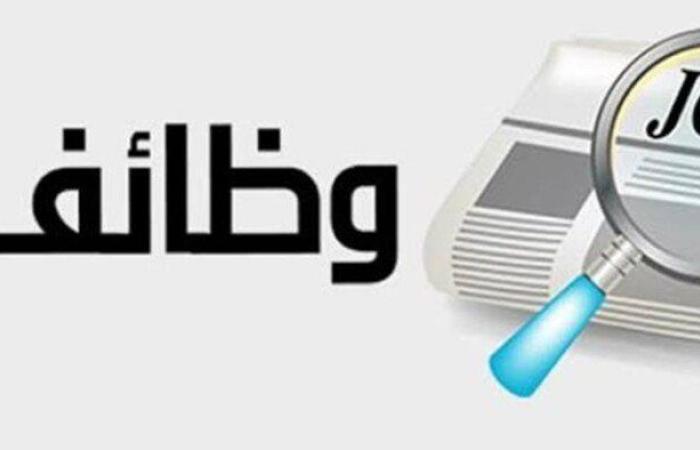 وظائف الكهرباء 2025.. موعد التقديم والتخصصات المطلوبة