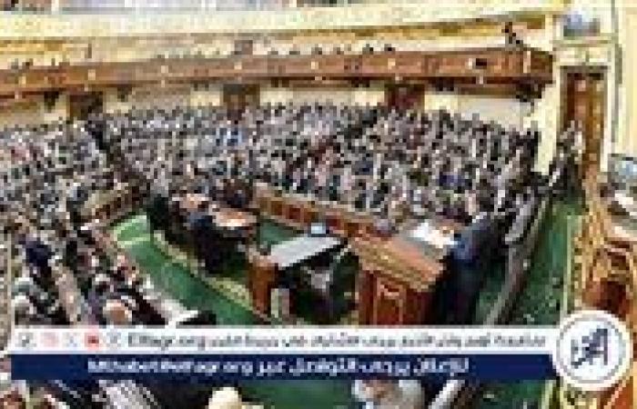 البرلمان يوافق على استقالة 8 نواب استعدادًا لخوض انتخابات مجلس الشيوخ