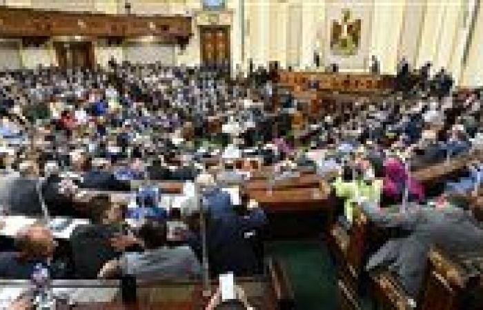 رسميا.. البرلمان يقر الترشح لمدة ثلاث  دورات متتالية لإدارات الأندية