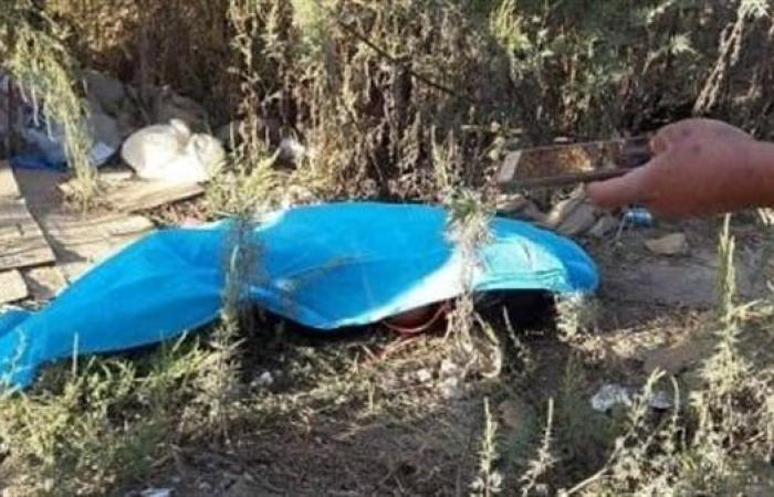 "تزوجت سرًا".. اعترافات المتهمين بقطع رأس فتاة وإلقاء جثتها بأبو النمرس
